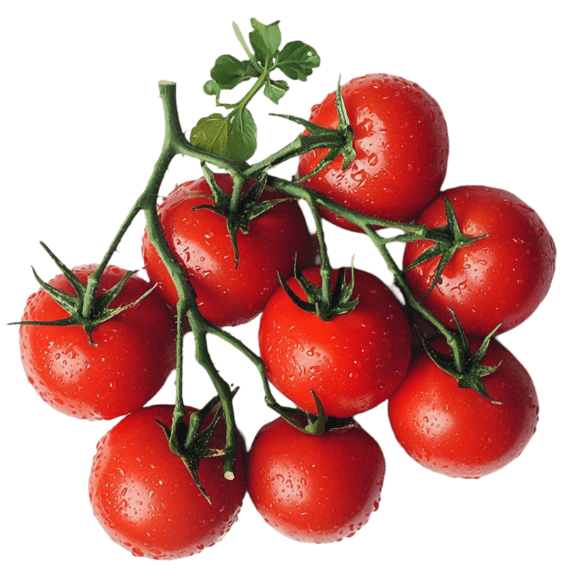 Tomatoes